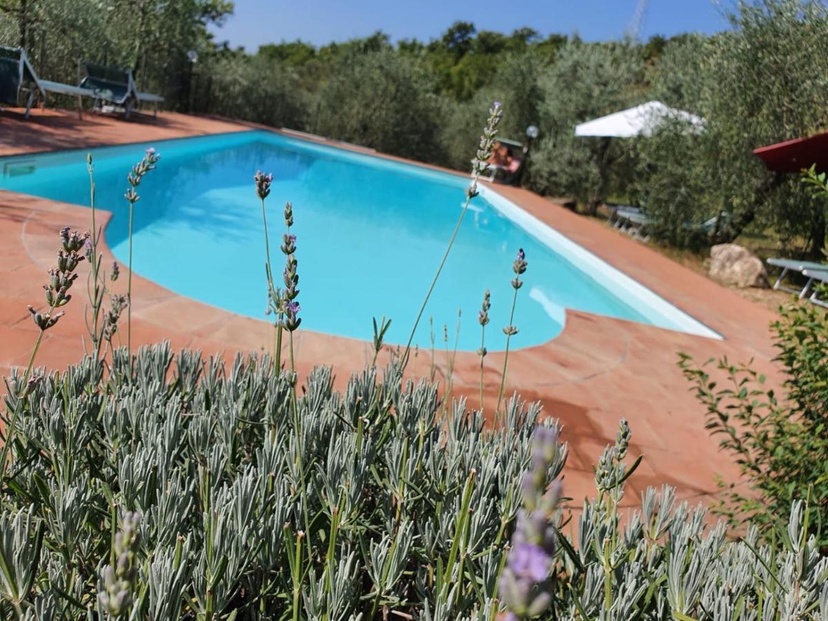 Agriturismo "Crocino In Chianti" Gaiole in Chianti Εξωτερικό φωτογραφία